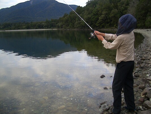 Hollyford Track