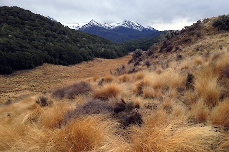 Becketts Hut and Aparima Forks Hut, Takitimu Mountains