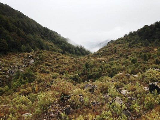 The Old Ghost Road