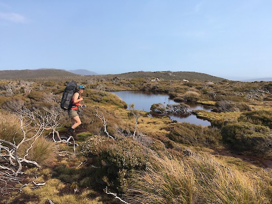 Southern Circuit, Stewart Island