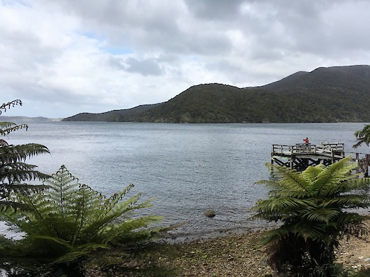 Southern Circuit, Stewart Island