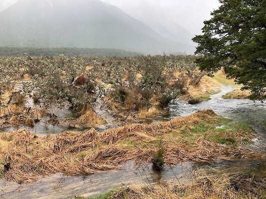 Flooding just outside the hut