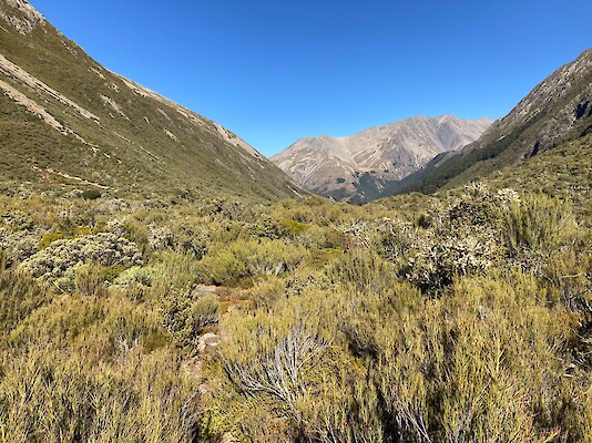 South Temple / Ahuriri Valley